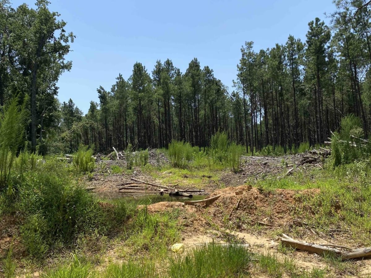 Jake Creel Road trail photo