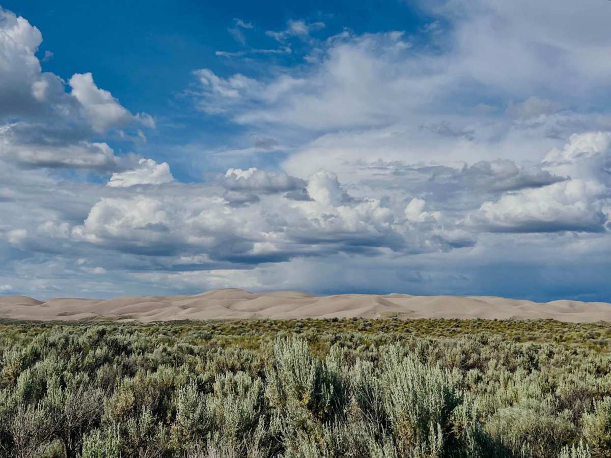 St. Anthony Sand Dunes Western Access photo 2