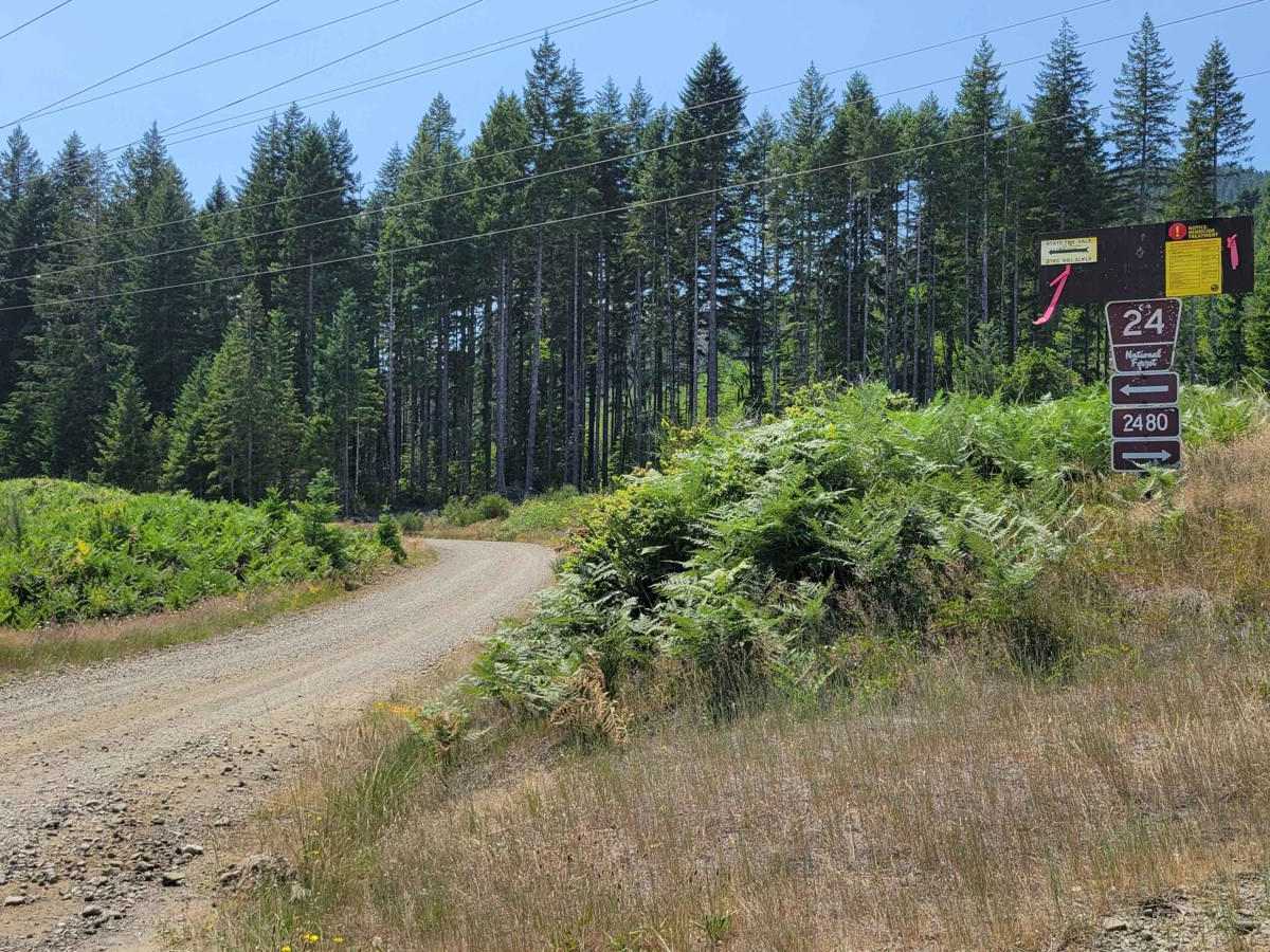 NF 24 - Jorsted Creek trail photo