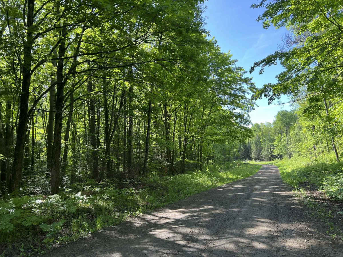 FR 2183 Eastern Section photo 3
