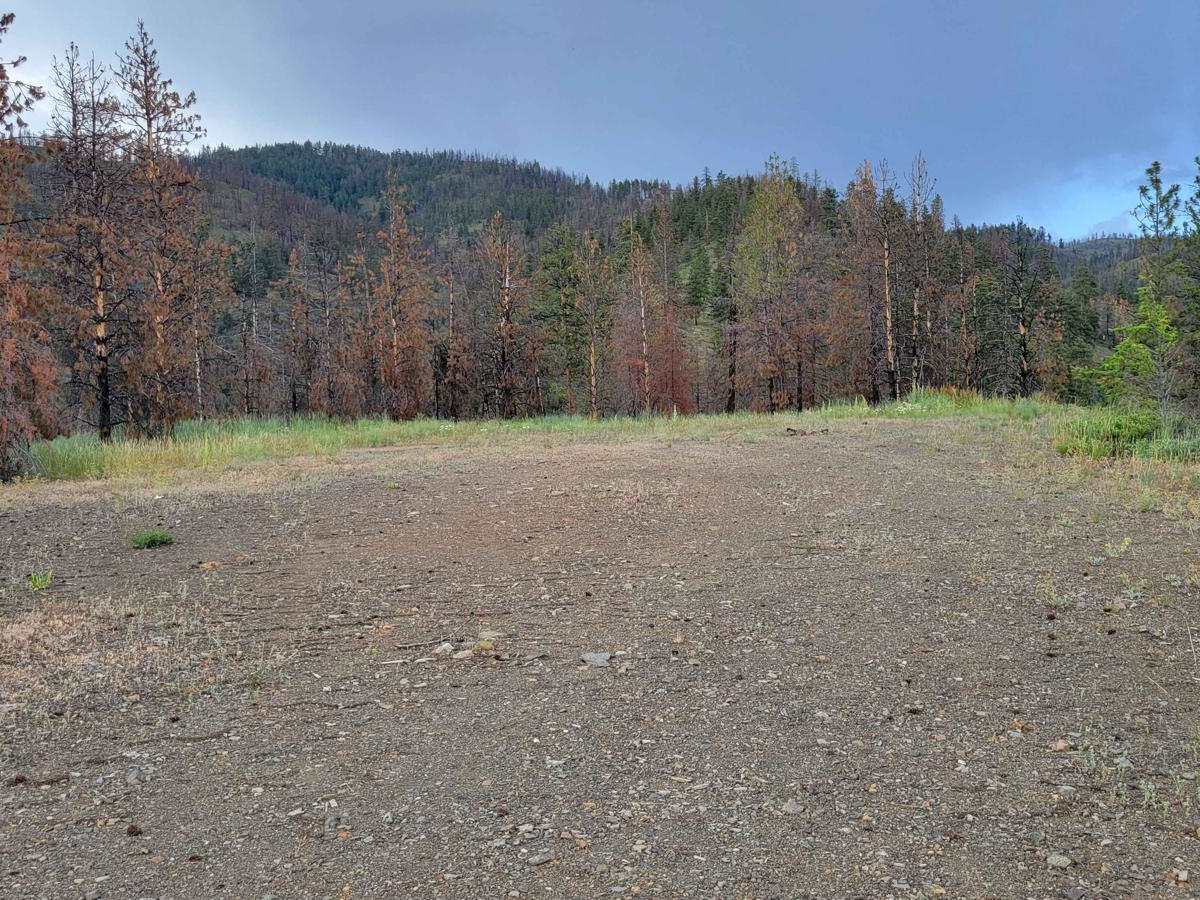 Cabin Creek photo 4