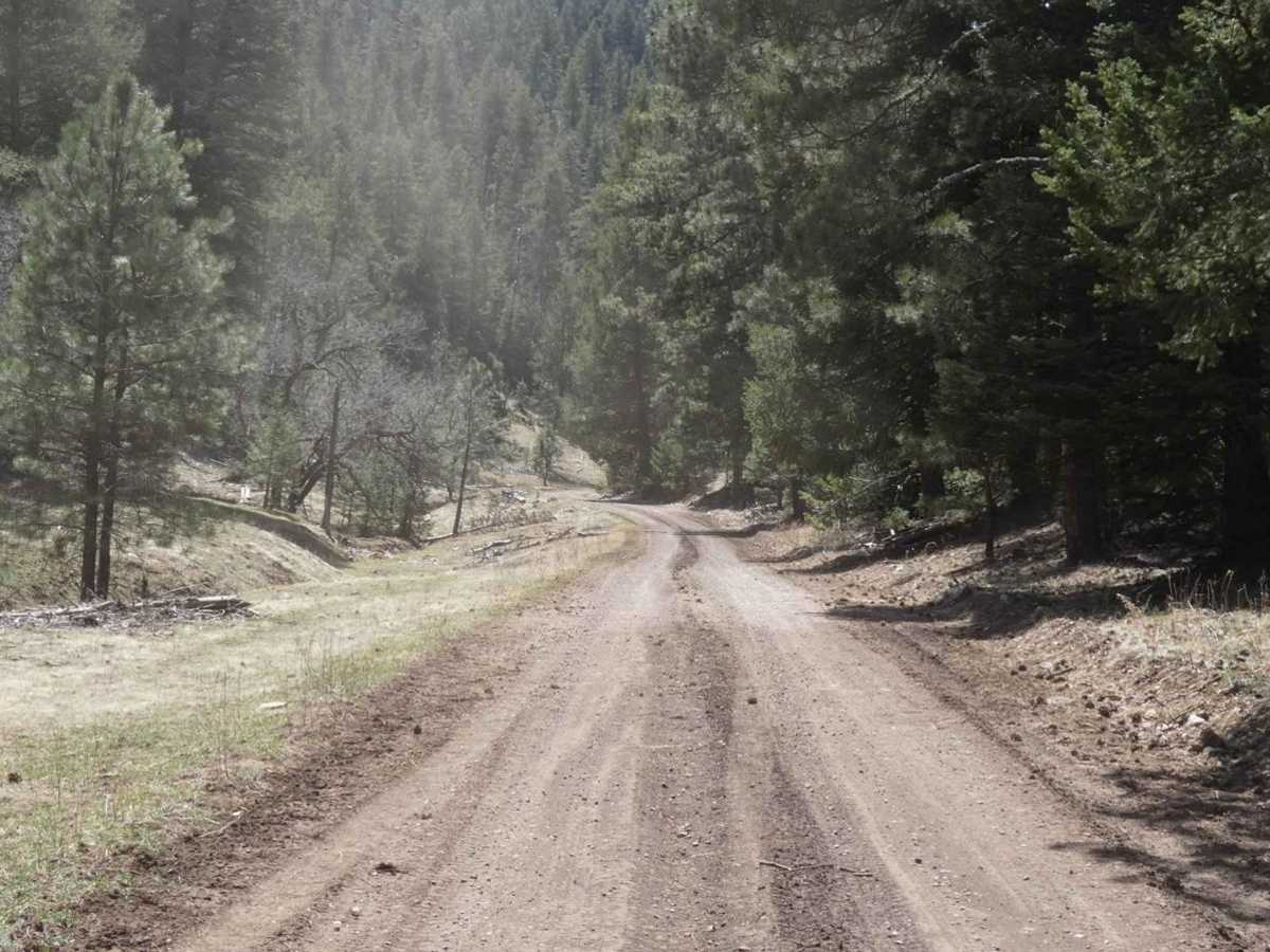 Jim Lewis Canyon photo 6