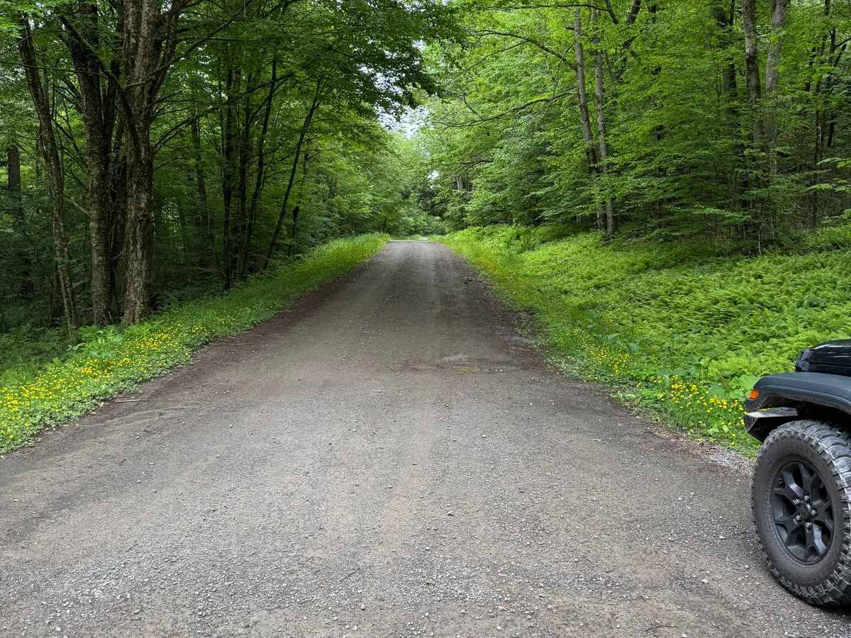 West Trout Brook Road trail photo
