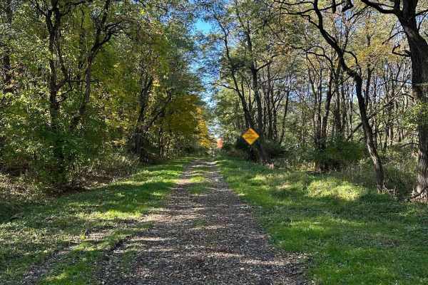 Wood Hill Road