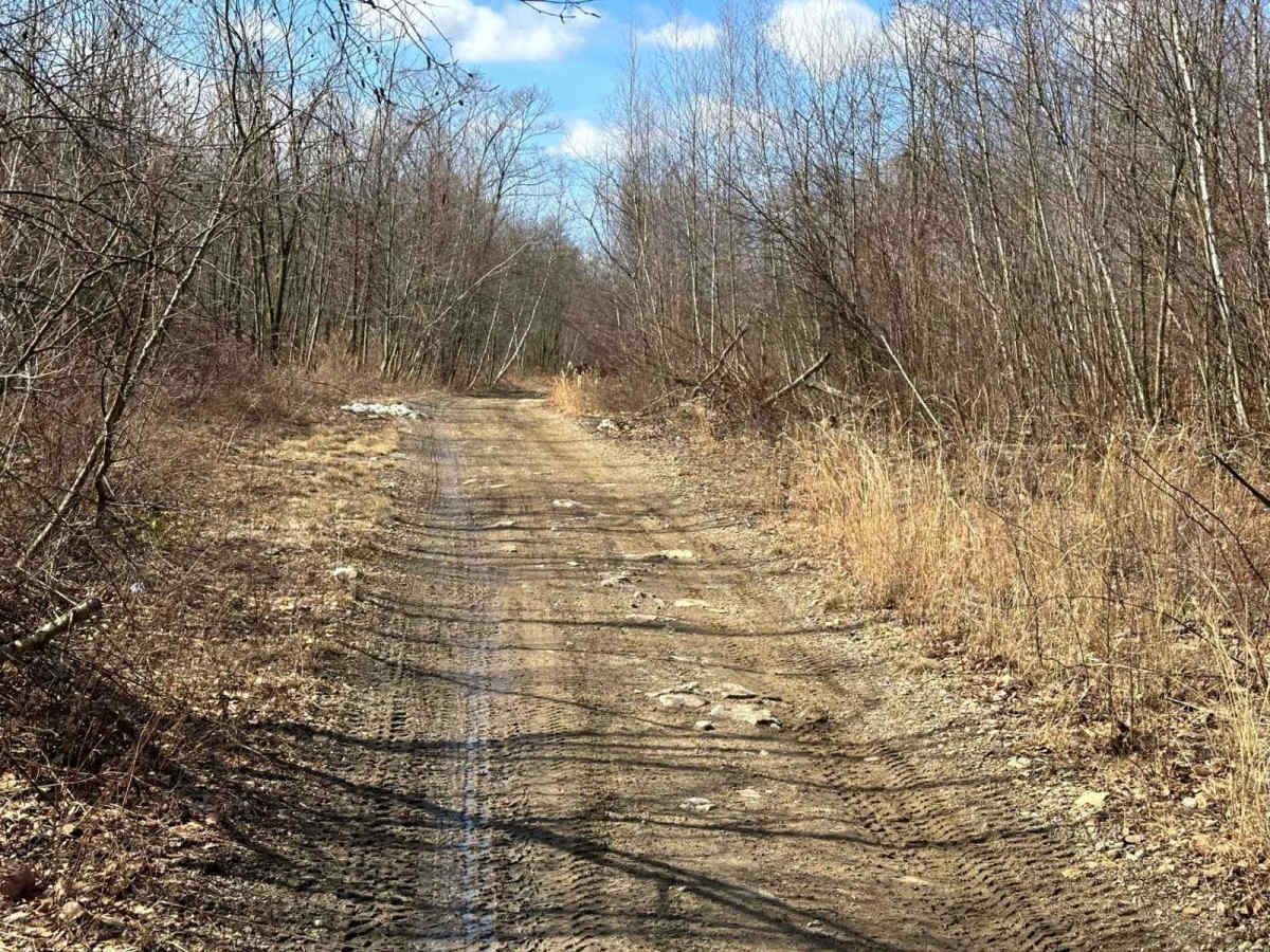 Locust Gap 48 photo 3