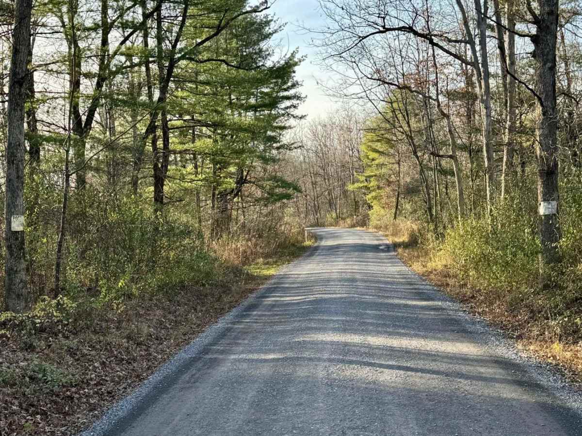 Beech Creek Road photo 3