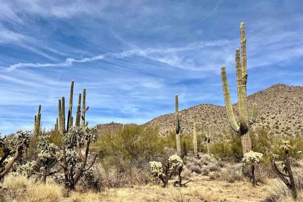 Coyote Peak South