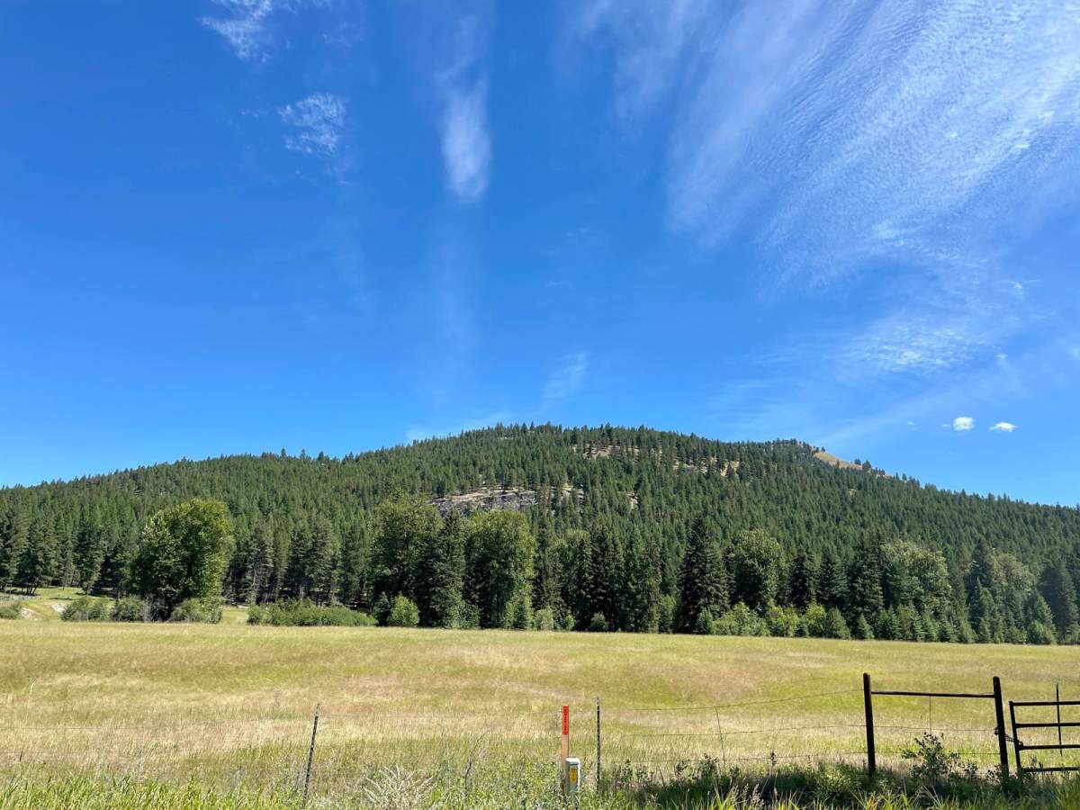 Truman Creek Road photo 4