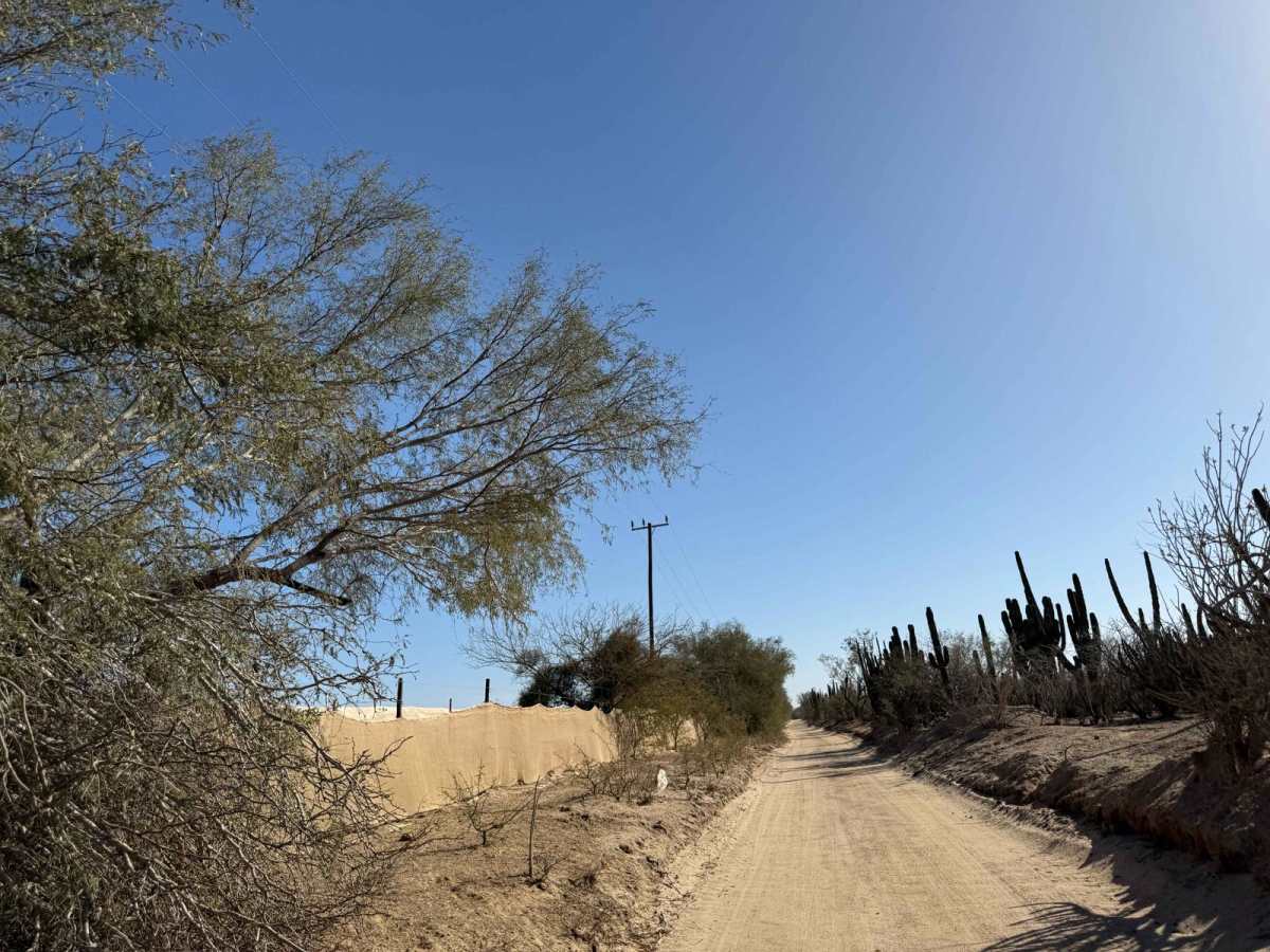 Camino Arenoso Cuatro trail photo