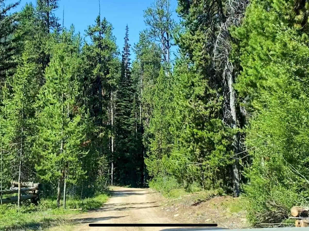 Sunday Mine photo 5
