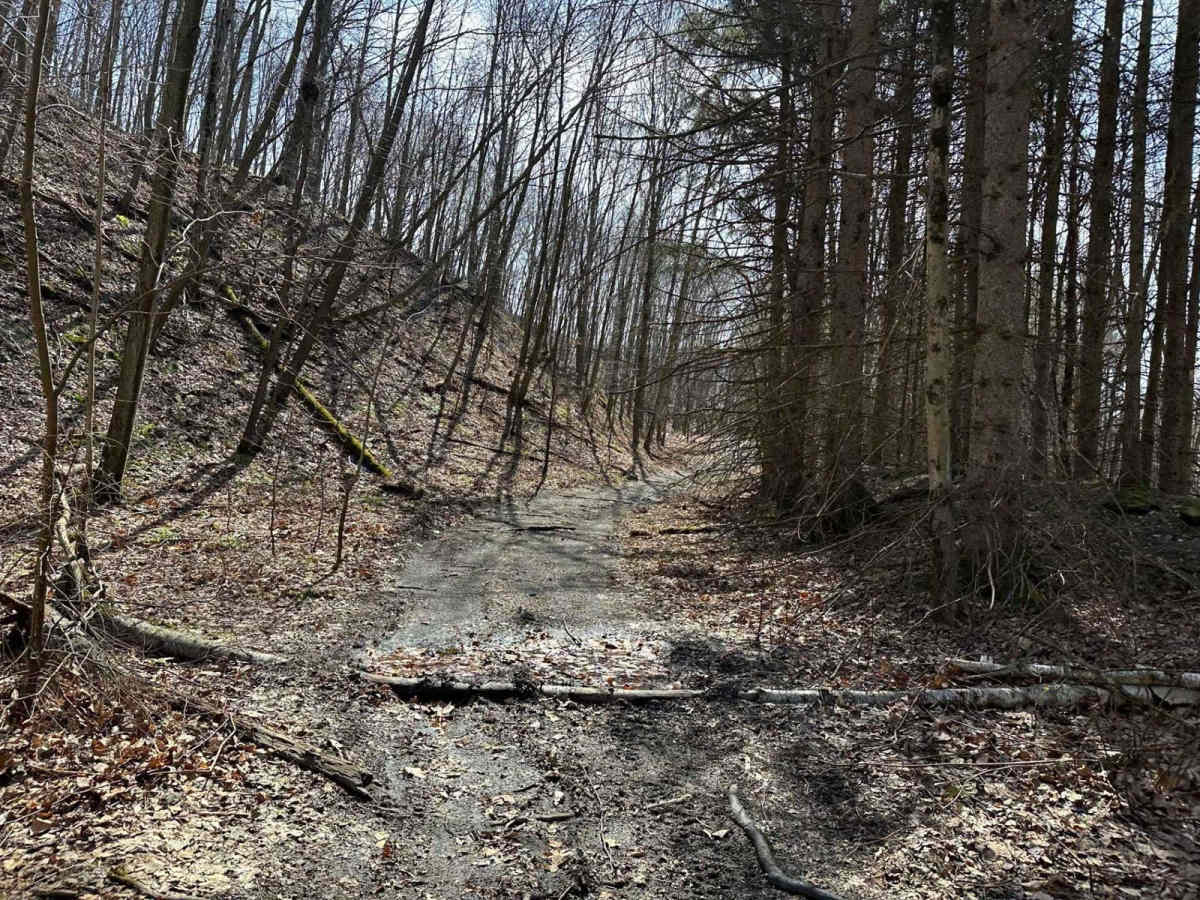 Ashland 11 trail photo