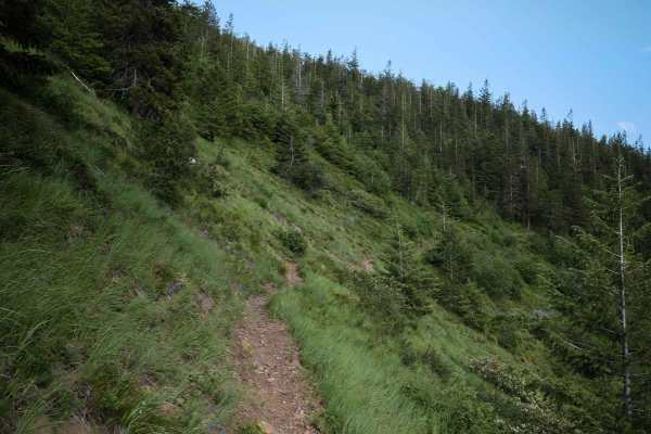 Ames Ridge NRT