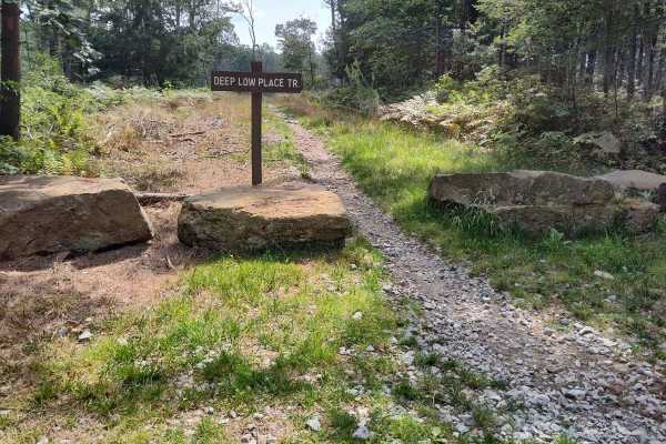 Tower Trail - Single Track