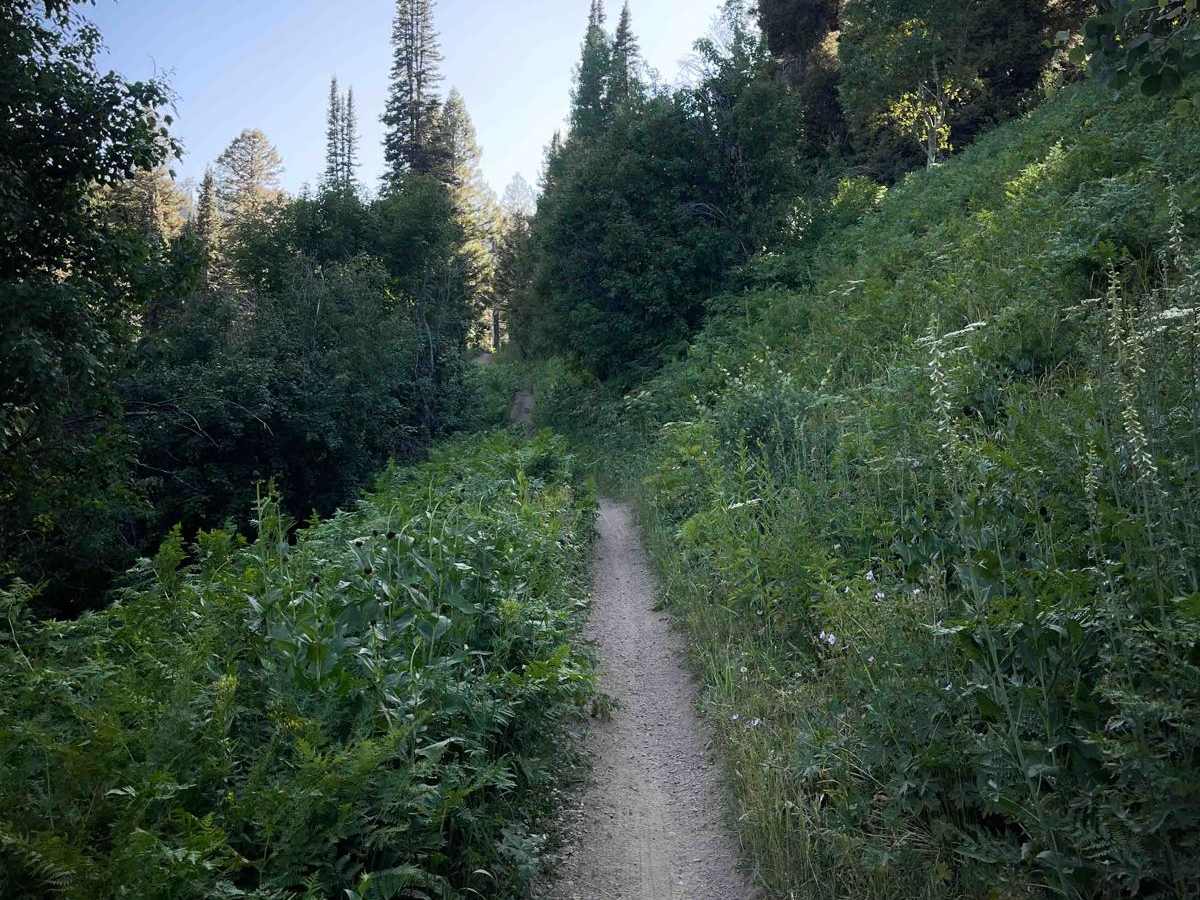 South Grove Creek photo 3