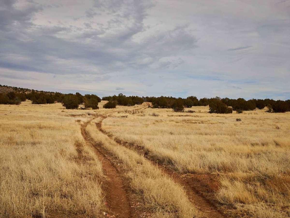 Hunters Camp photo 4