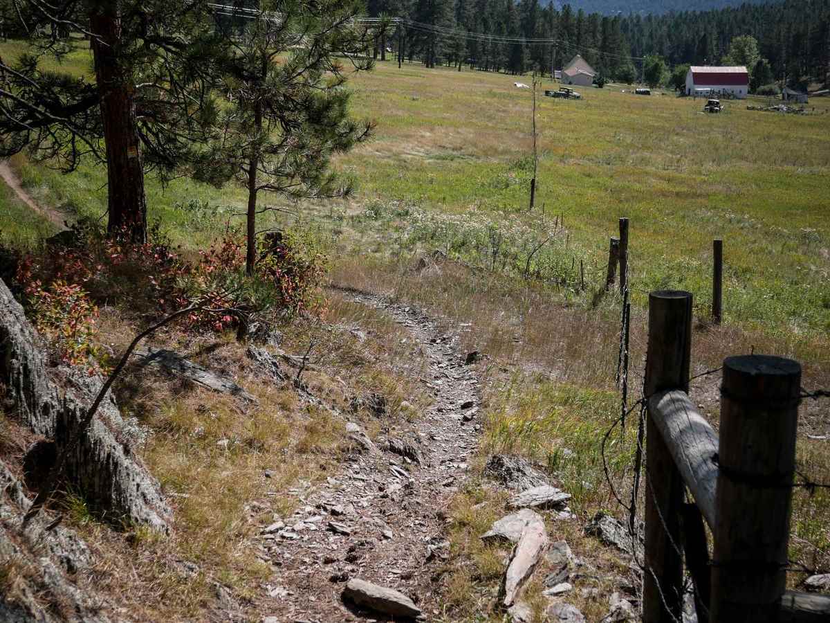 Bogus 6310 trail photo