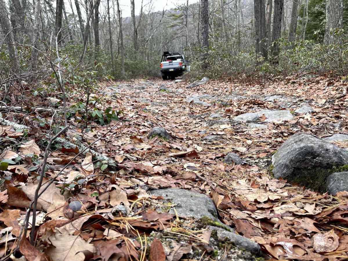 Henstep Valley Trail photo 6