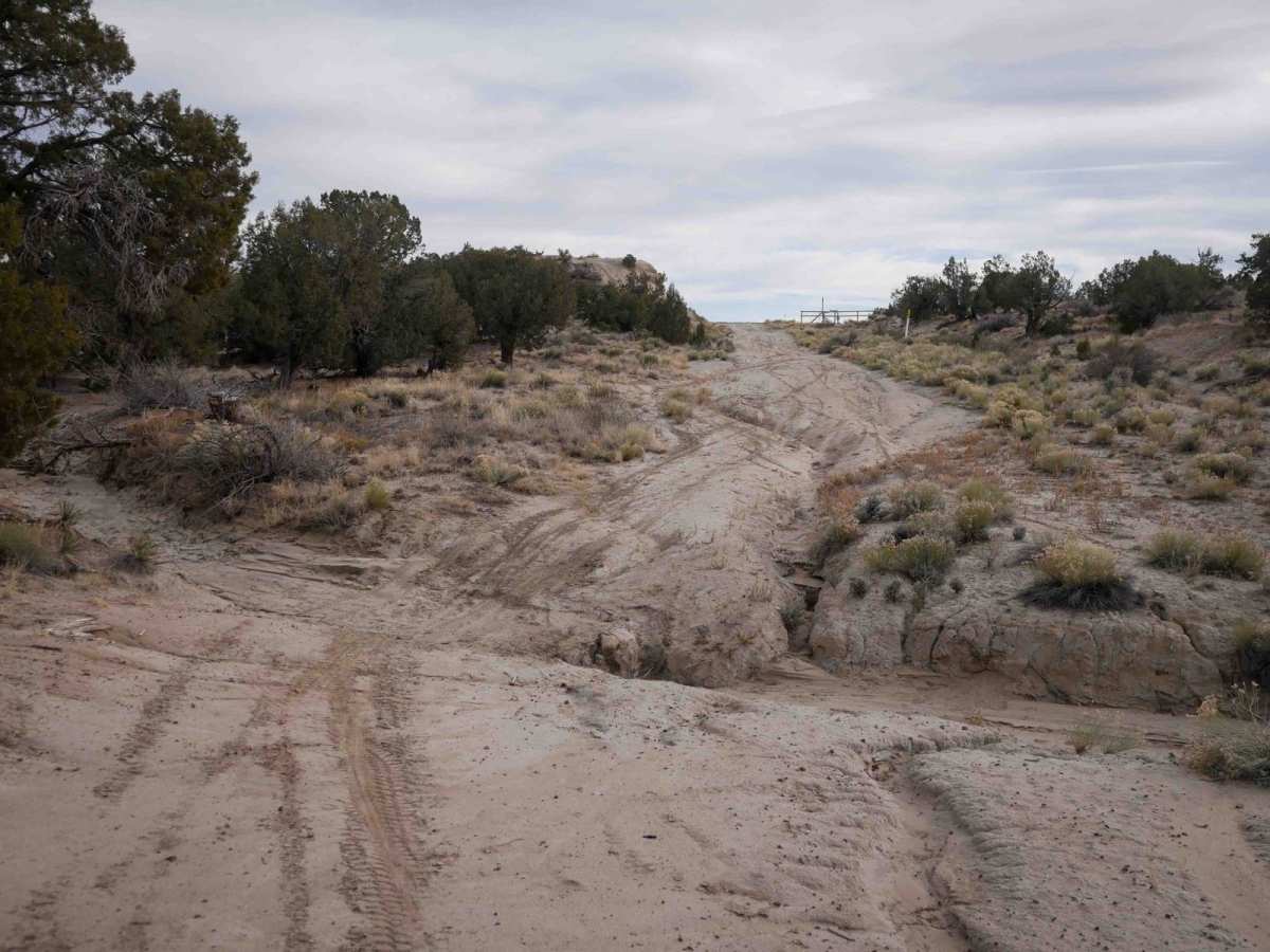 CMT East Loop photo 5