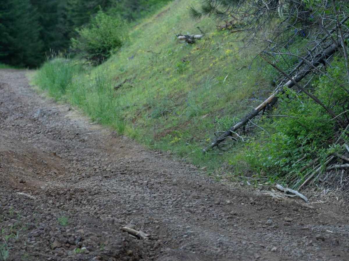 Craig's Cabin Road photo 5
