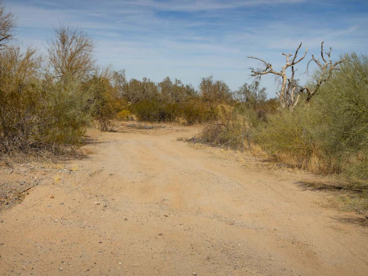 Parker Wash trail photo