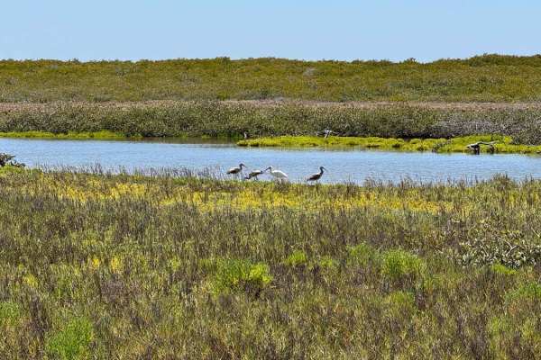 La Florida Lowlands
