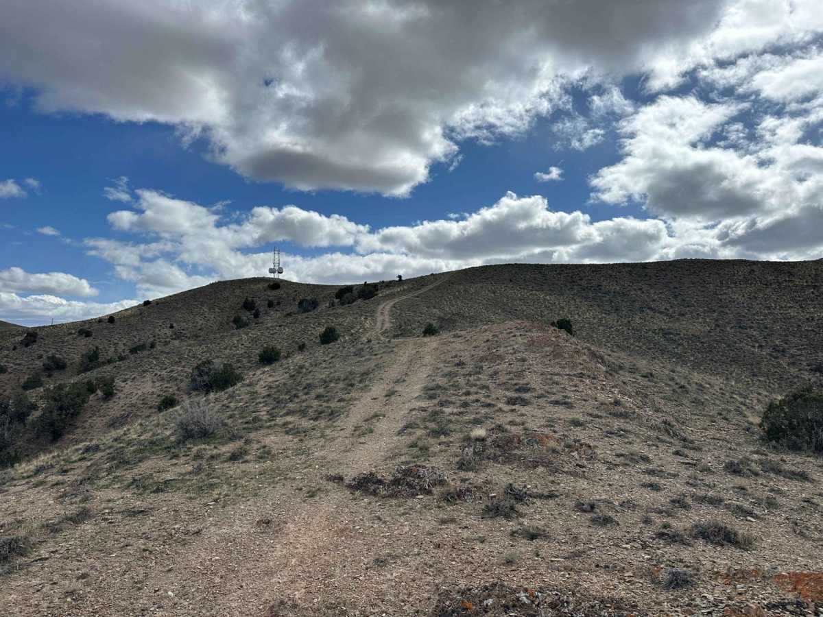 Rattlesnake Ravine photo 4