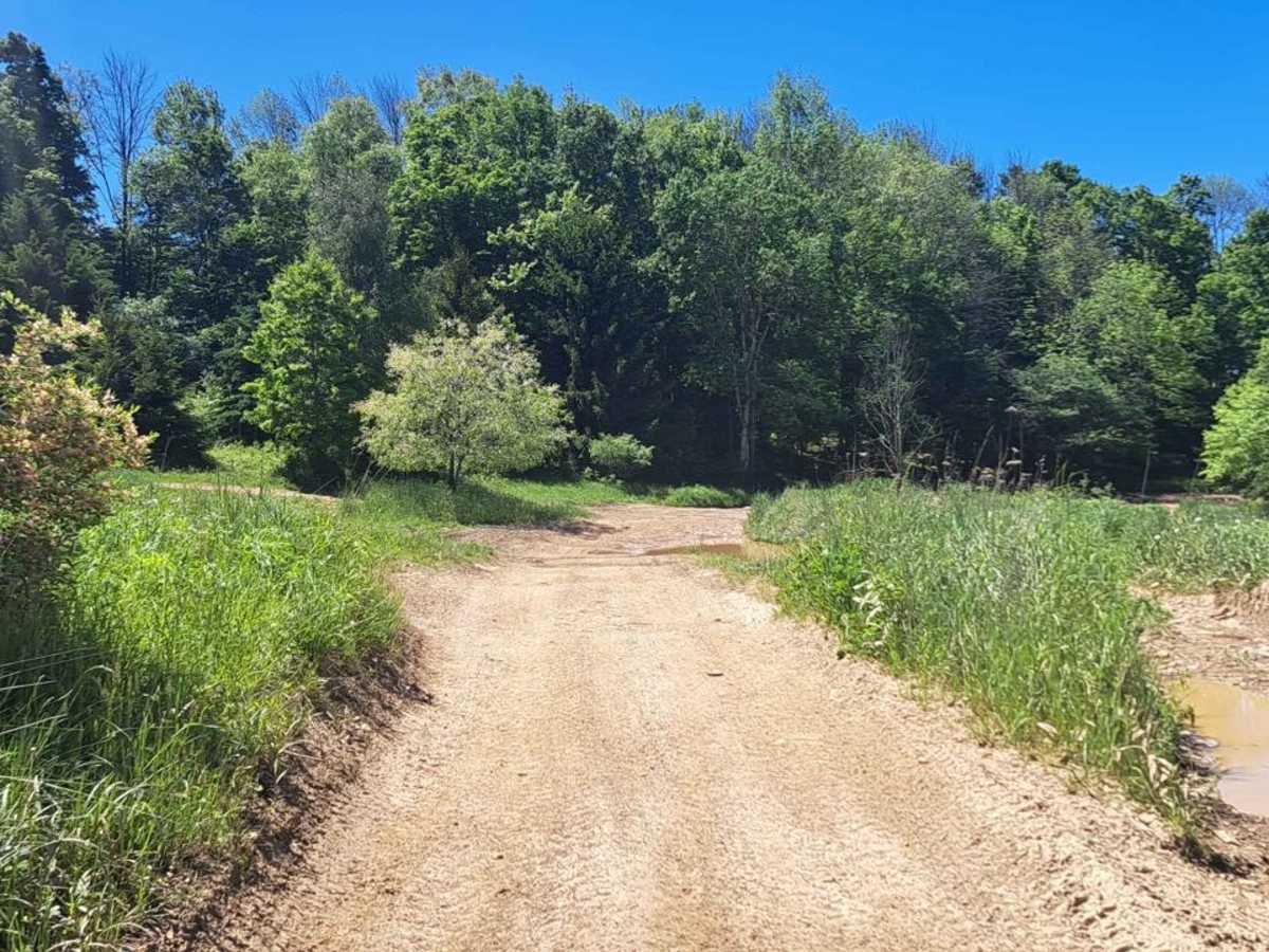 Jones Town Trail trail photo