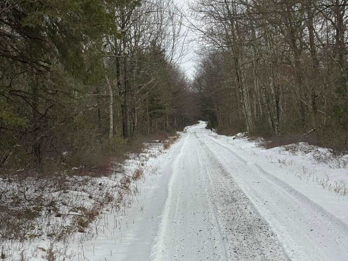 Old Shingle Road photo 3