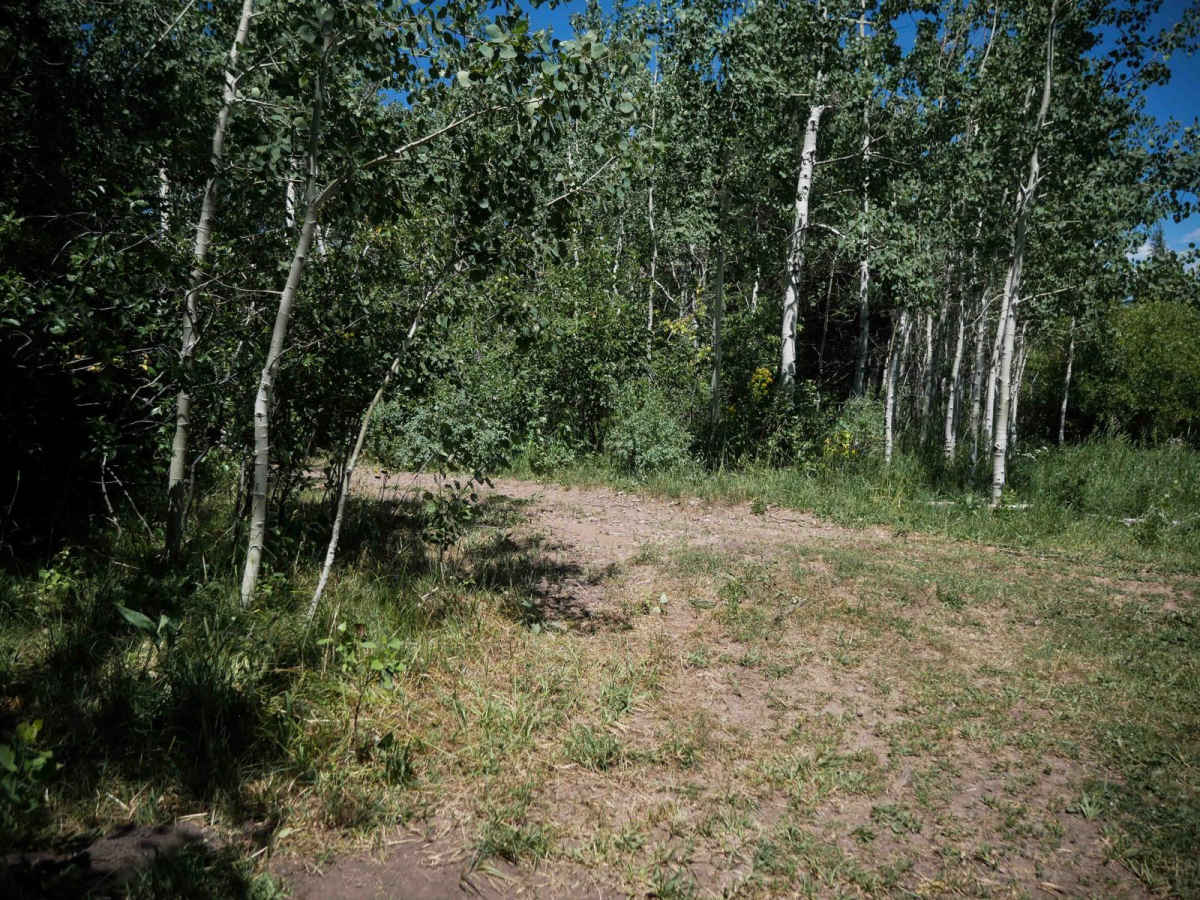 Bailey Ridge #3118  photo 5