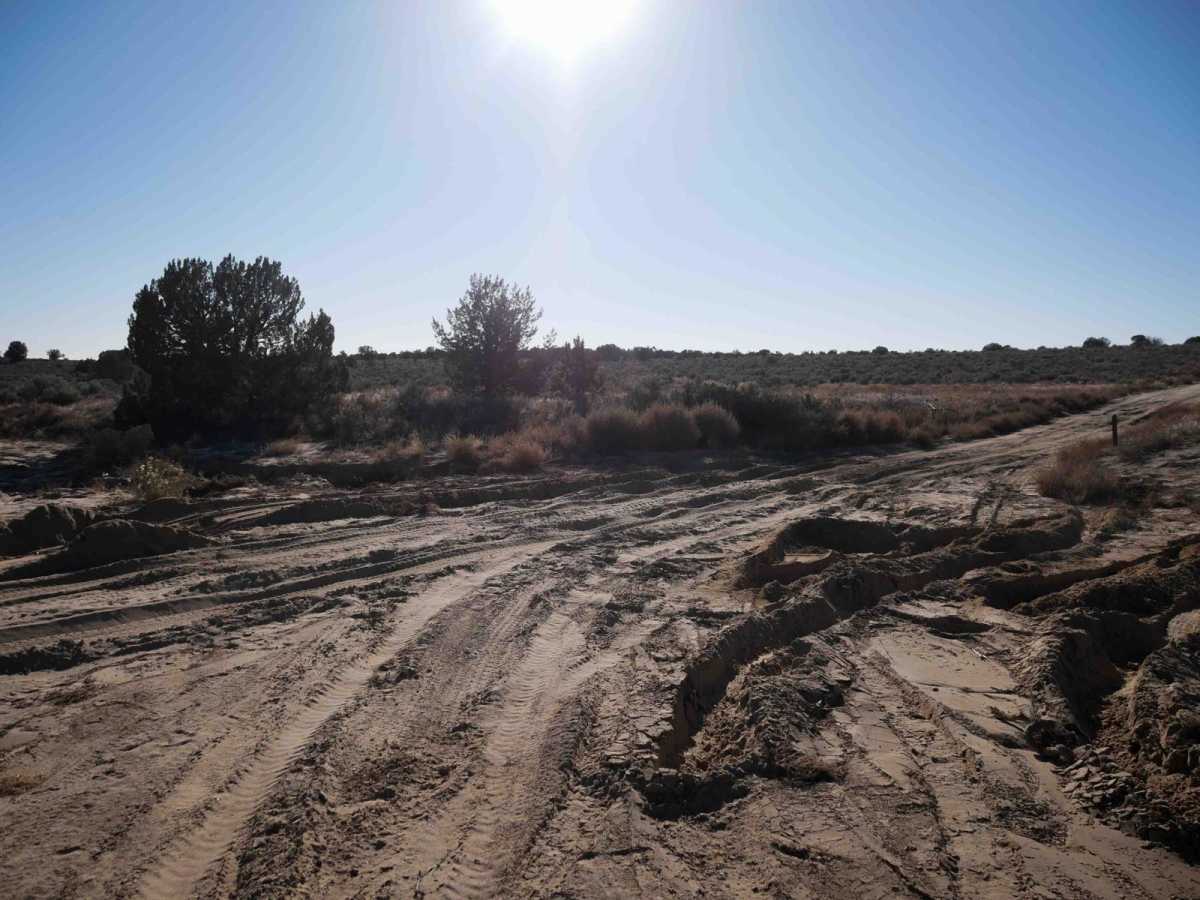 Johnson Arroyo ATV photo 6