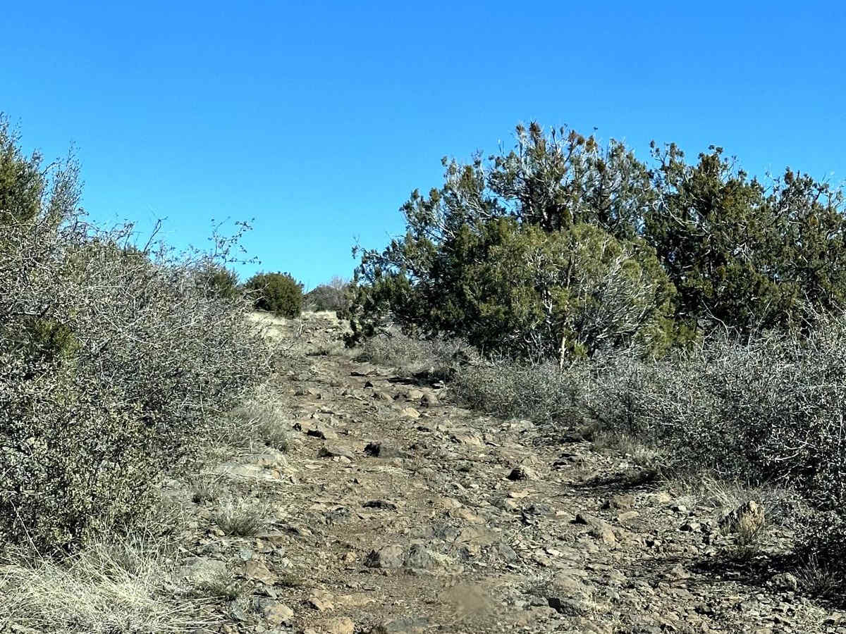 9D Technical Trail photo 3