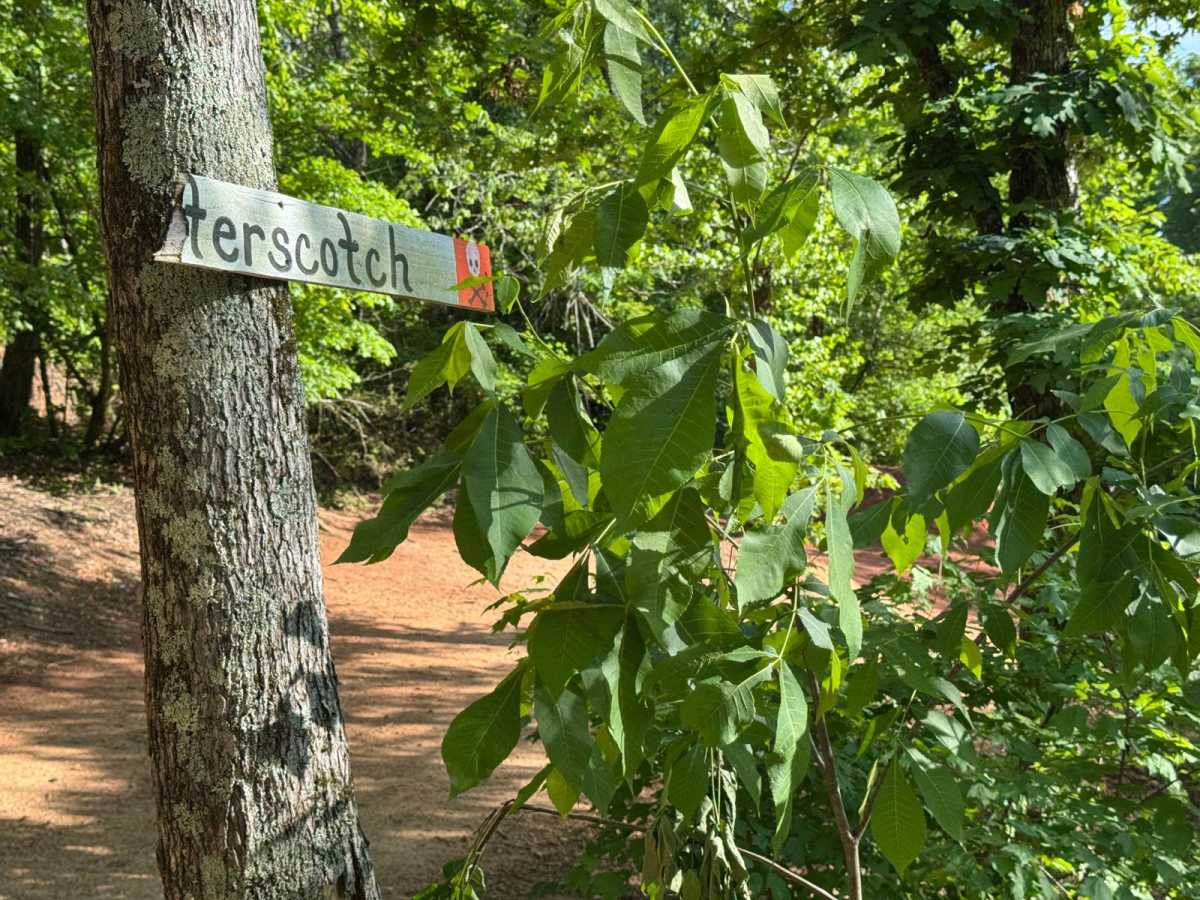 Butterscotch trail photo