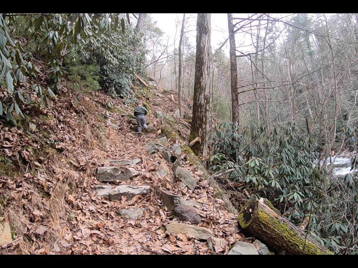 Duckett Ridge FSR #22B photo 3