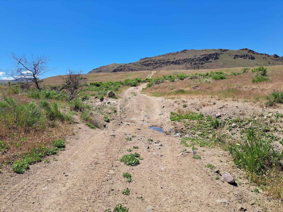 Graveyard - Succor Creek Road photo 3