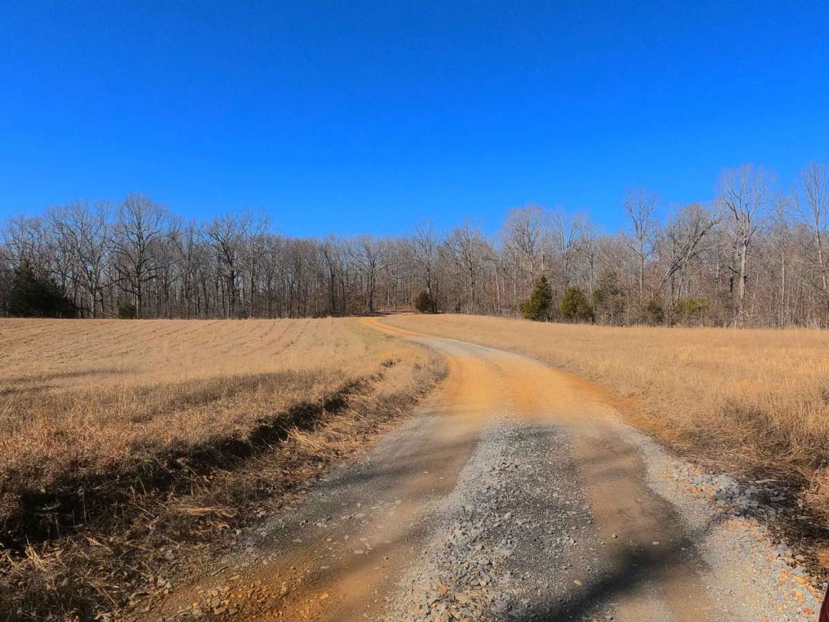 Woodland Road - FS 314 photo 4