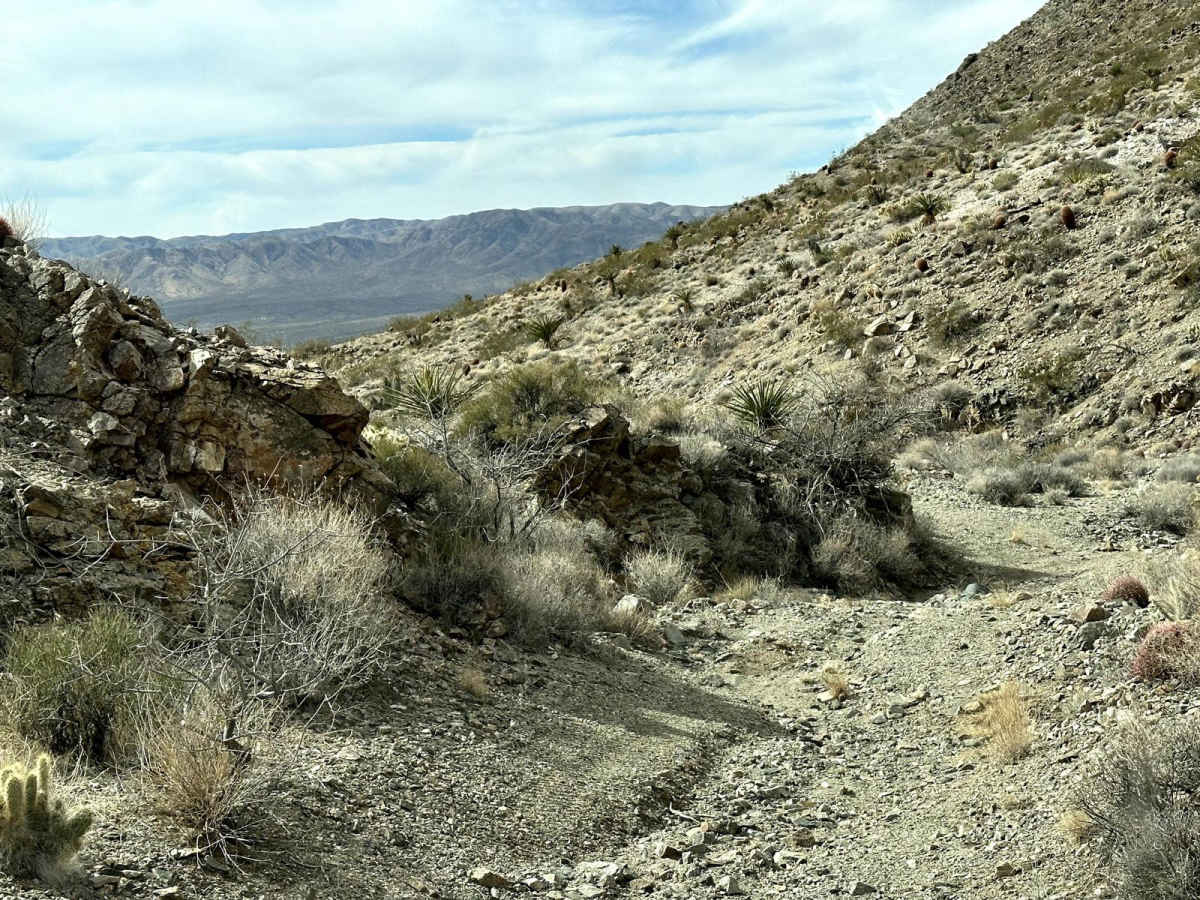 Golden Mile Trail photo 3
