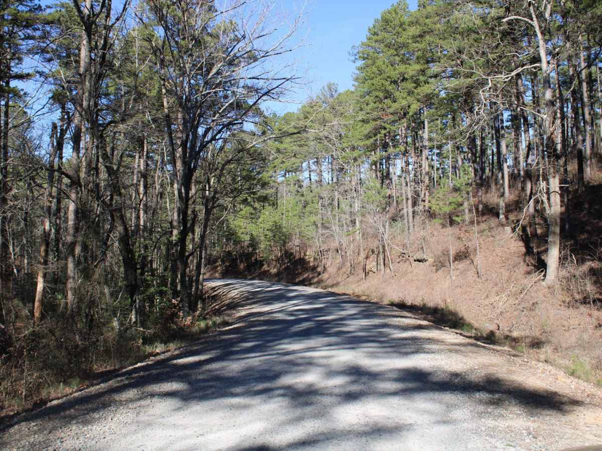 Hickory Nut Mountain photo 3