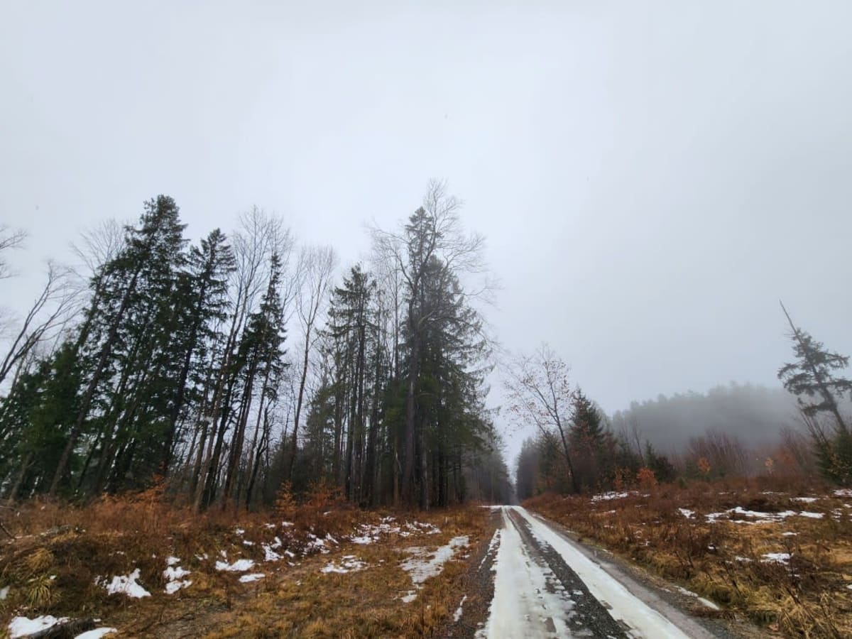 Snyder Hill PFAR photo 3