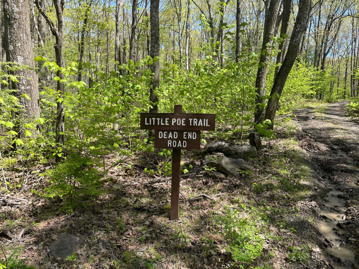 Little Poe Trail trail photo