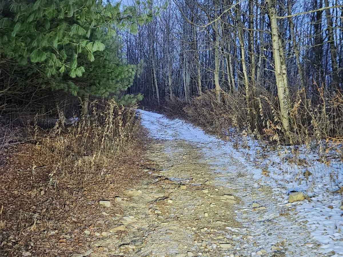 Flat Rock - Green - Rock Run Recreation Area photo 4