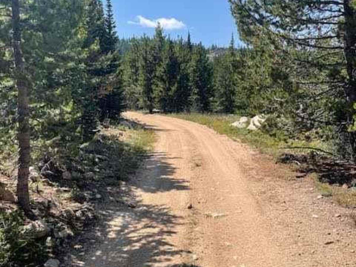 Lookout Mountain Road photo 3