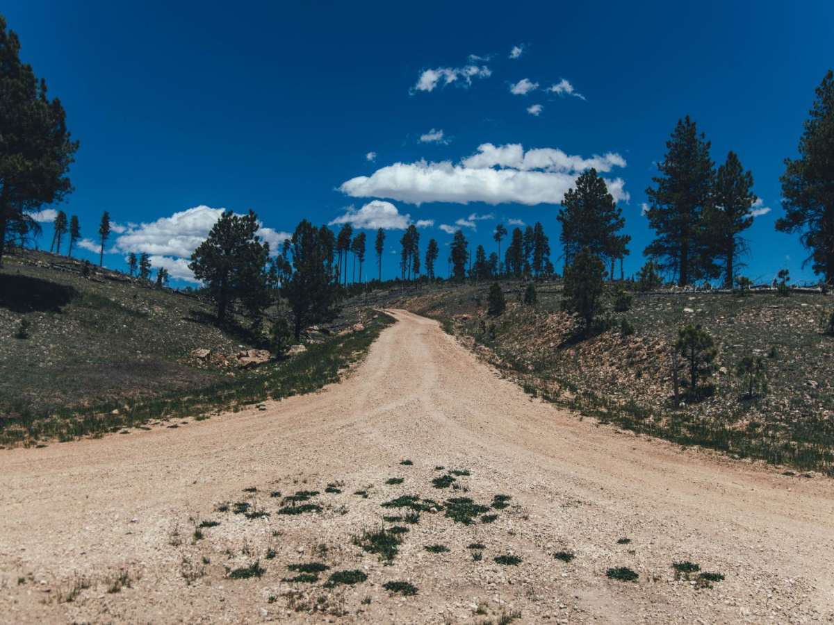 Half Mile Access Road trail photo
