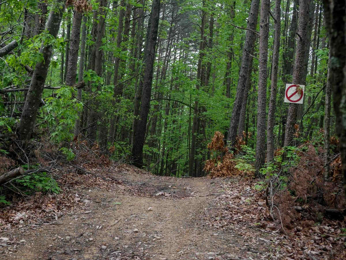 Shortcut trail photo