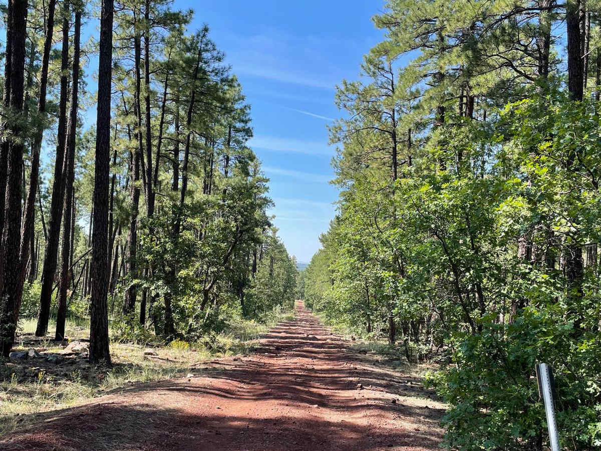 FS 226E trail photo