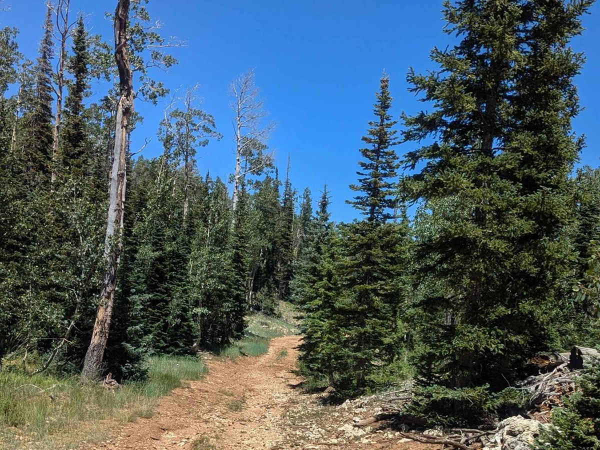Lake View Loop photo 4