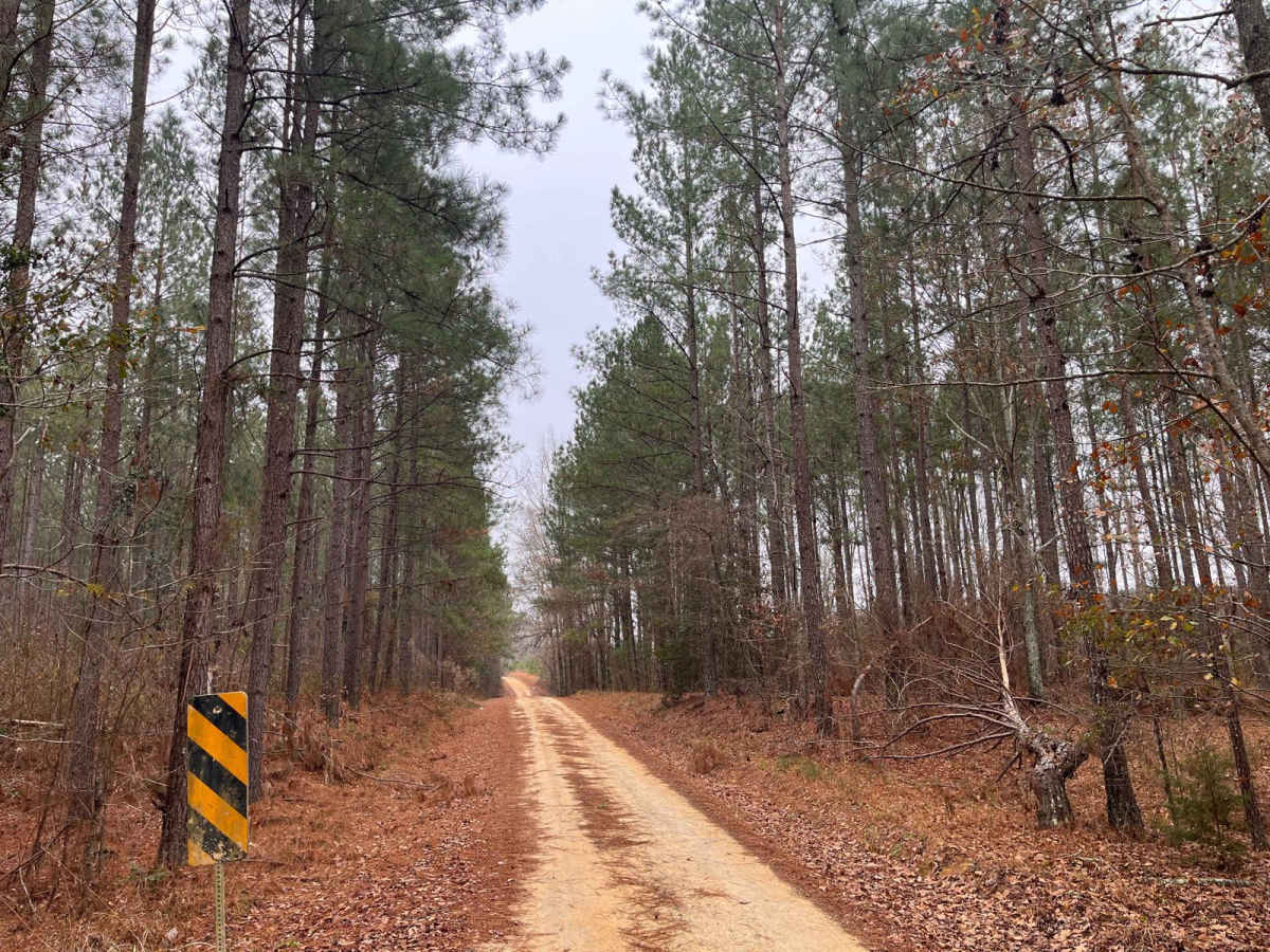 Rugged Hill Drive photo 4