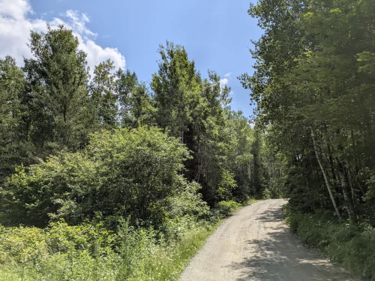 Birch Lake Access Road trail photo