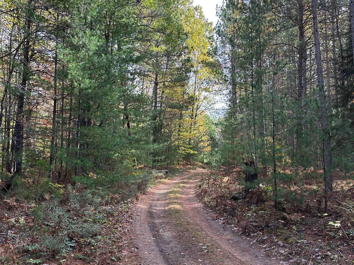 Neighbor Lake - FS 2791 photo 3