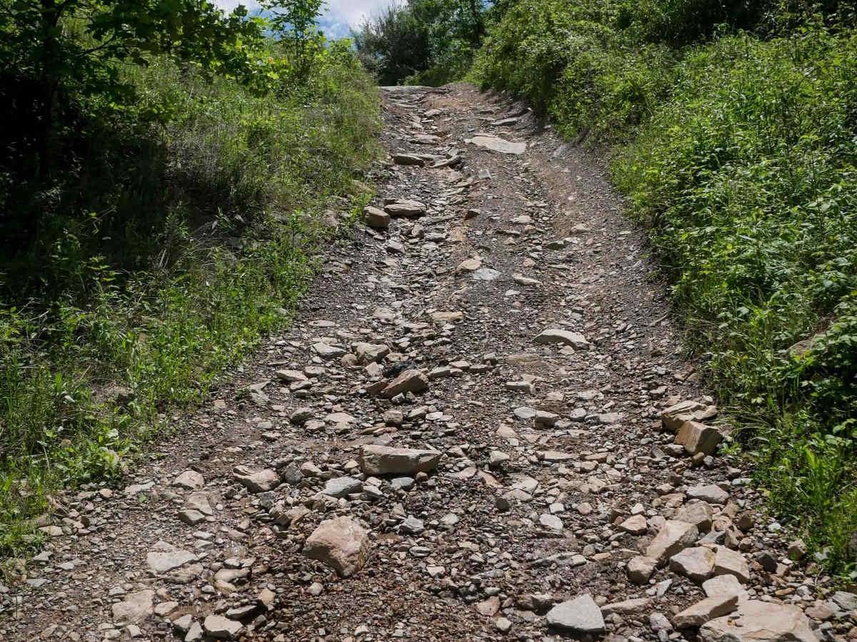 CC14 trail photo