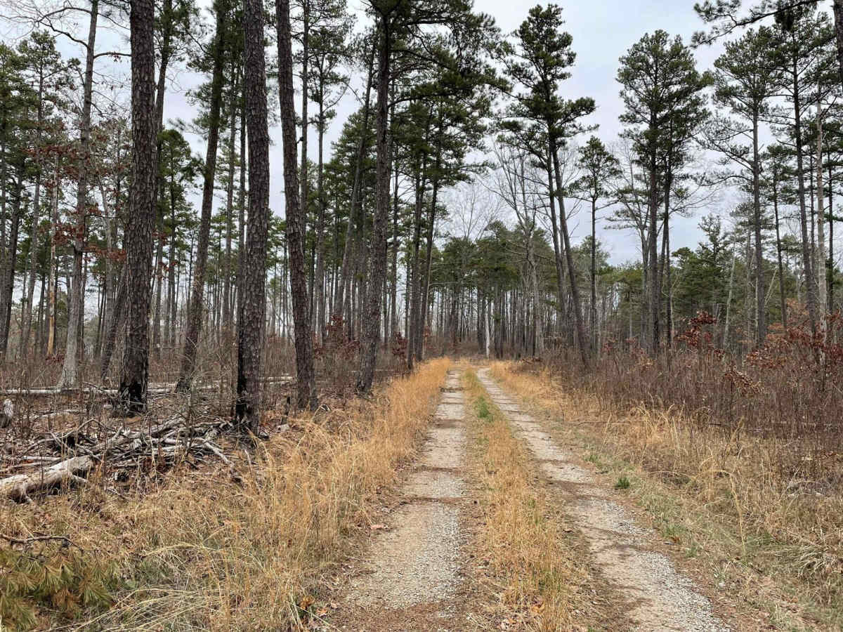 Flat Ridge (FS3723) photo 3